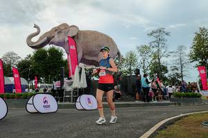 BIB: 
                            <button type="button" onclick="openModal(26528907)" class="btn btn-primary btn-sm float-right btn-popup" data-toggle="modal" data-target=".modal-high-quality">
                        <i class="fas fa-shopping-cart"></i> Add to Cart
                    </button>
                                            <button type="button" onclick="isThisMe(26528907, true)" class="btn btn-success btn-sm float-right btn-popup btn-isme hidden" data-toggle="tooltip" data-placement="bottom" title="นี่คือรูปของคุณใช่ไหม คลิกที่นี่เพื่อเอาเข้าอัลบั้ม">
                        <i class="fas fa-plus"></i> Add to album
                    </button>
                    <button type="button" onclick="isThisMe(26528907, false)" class="btn btn-warning btn-sm float-right btn-popup btn-isnotme hidden">
                        <i class="fas fa-ban"></i> Remove from album
                    </button>